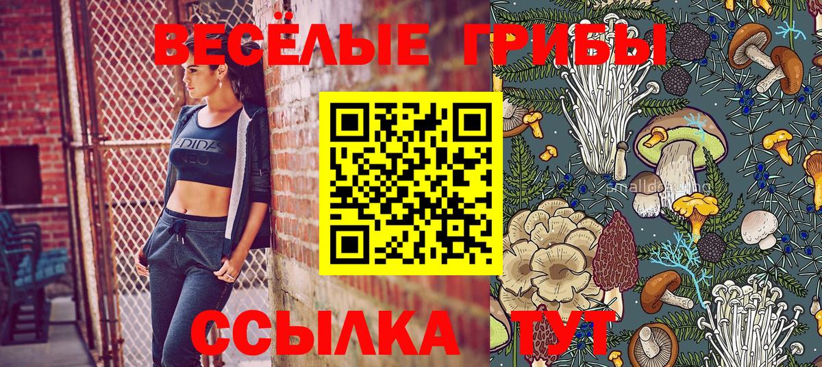 Псилоцибиновые грибы Cubensis Звенигород